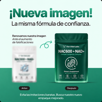 Cápsulas de NAC600 y NAD+